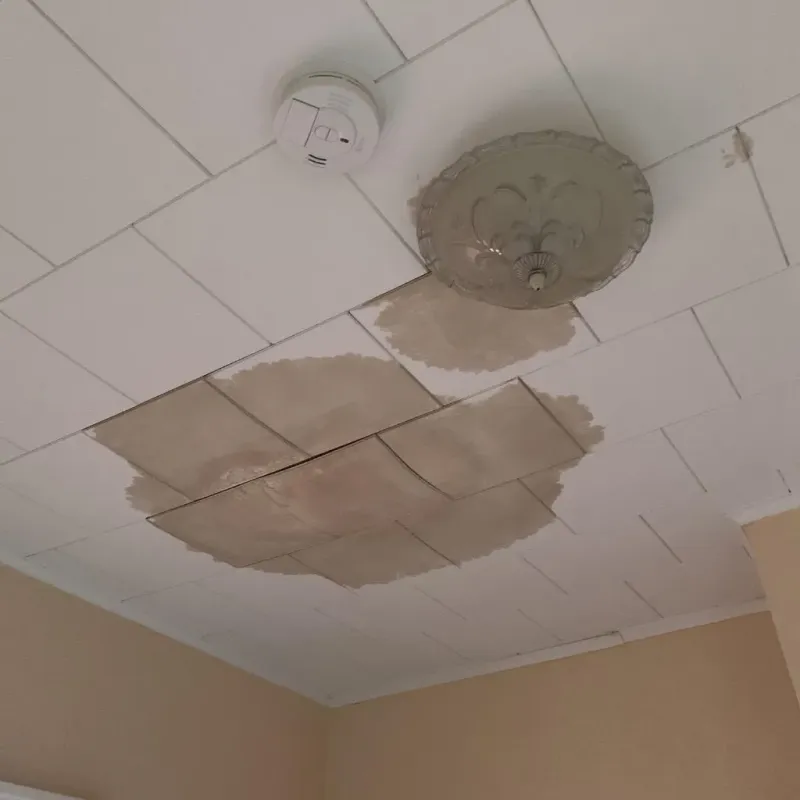 Ceiling Water Damage Repair in Lincoln County, WV