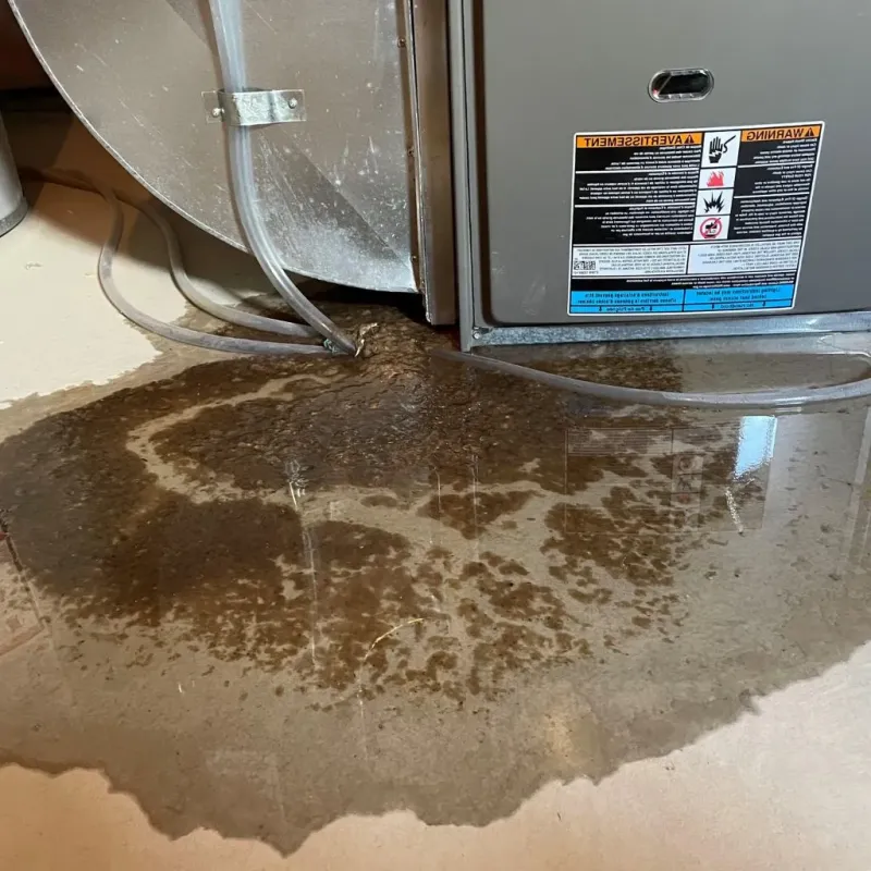 Pipe Burst and Leak Restoration in Lincoln County, WV