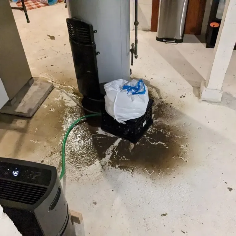Sewage Backup Cleanup Service in Lincoln County, WV